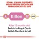 image 7 of Royal Canin Cat British Shorthair Kitten 10KG