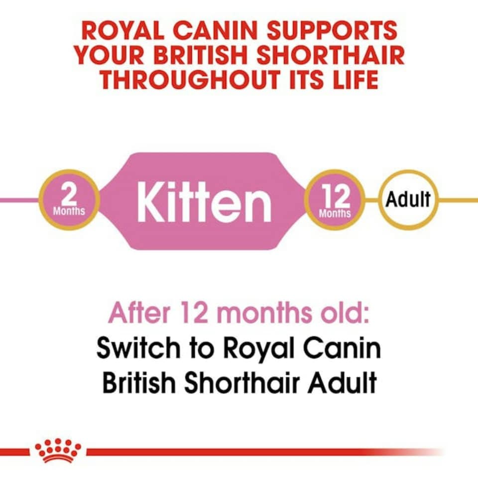 image 1 of Royal Canin Cat British Shorthair Kitten 10KG