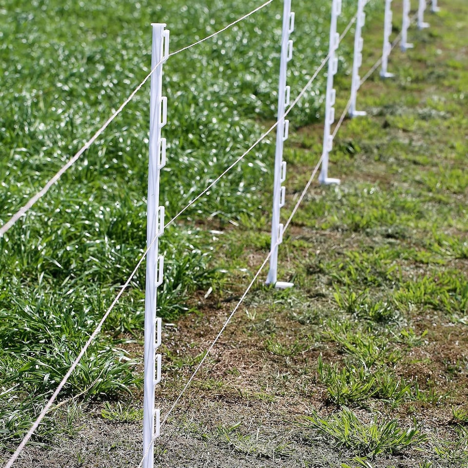 image 1 of True Products White 4ft/1.2m Heavy Duty Plastic Electric Fence Posts - Temporary Garden Fencing Stakes - Pack of 10 | White | White | 10