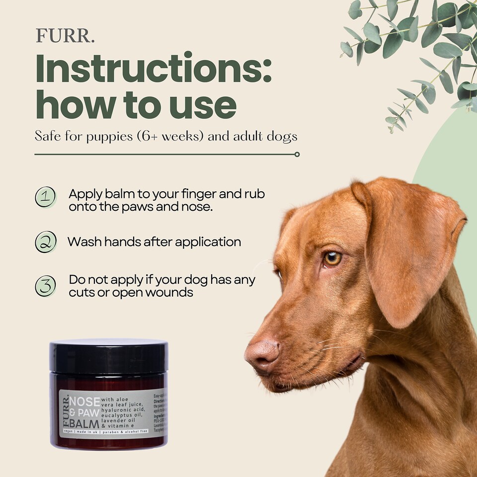 image 1 of FURR Paw & Nose Balm for Dogs 50ml, Lick-Safe, Natural Healing & Hydration for Dry Noses & Cracked Paws