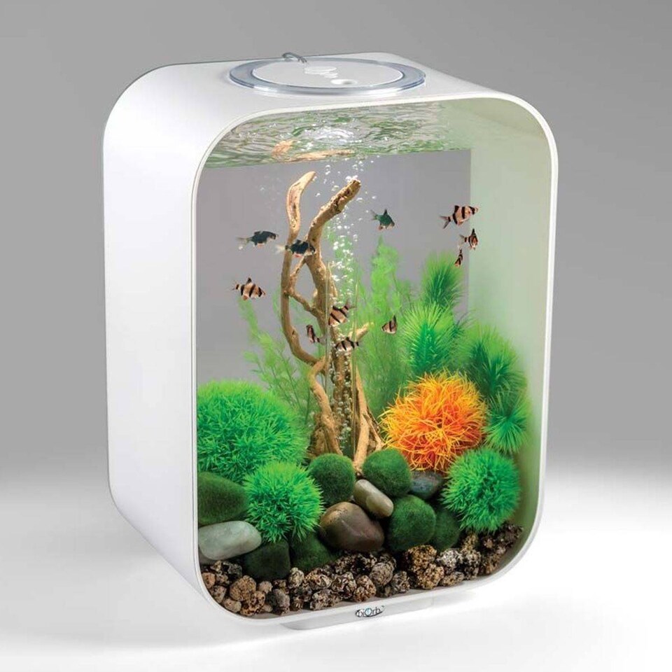 image 1 of BiOrb LIFE 15L White Aquarium Fish Tank with Multi Colour LED Lighting