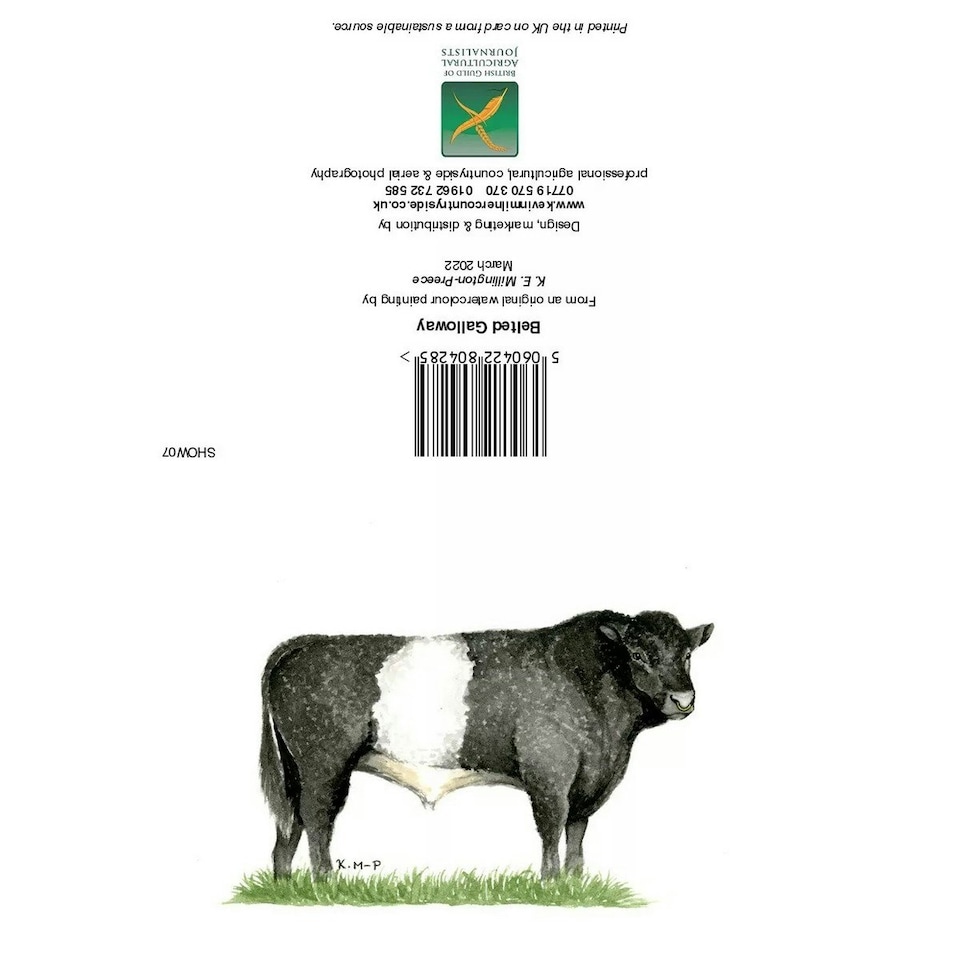 Kevin Milner Countryside Belted Galloway Greetings Card - Black/White/Evergreen - One Size