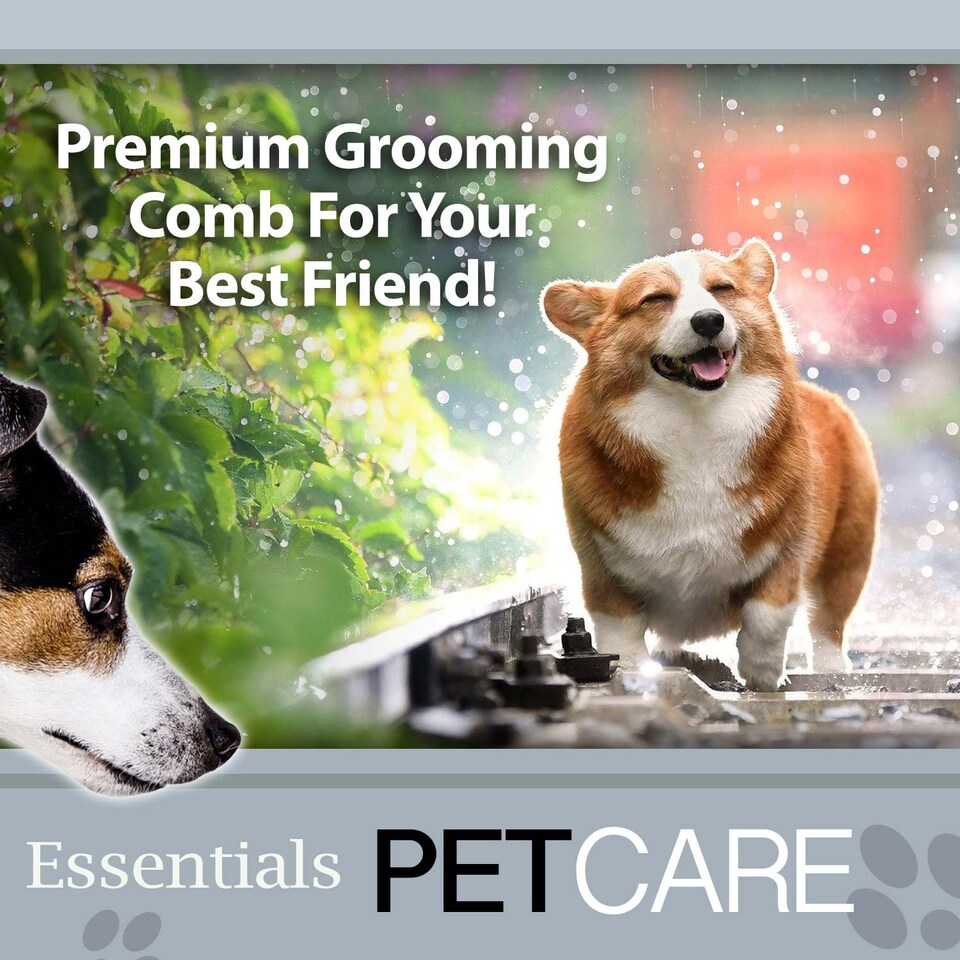 image 1 of PMS Crufts Bamboo Grooming Comb - 21.2cm x 5.5cm x 1.65cm