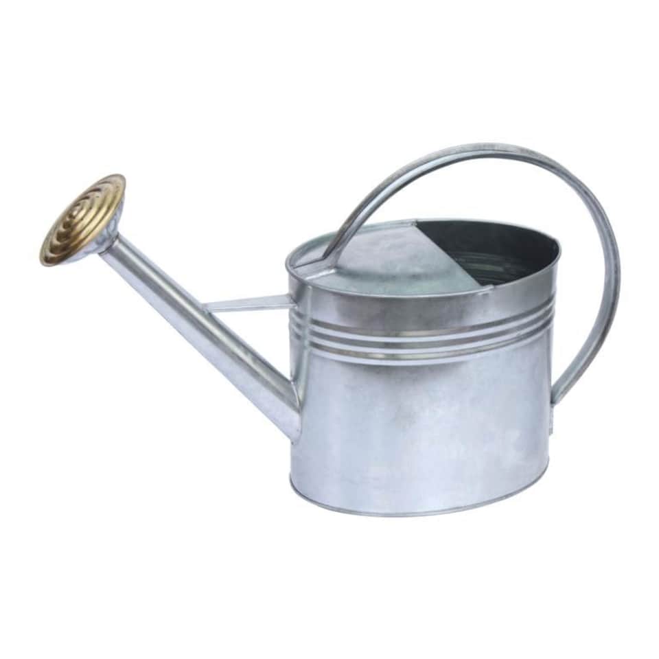 Ambassador Oval Galvanised Watering Can - Silver - 5l