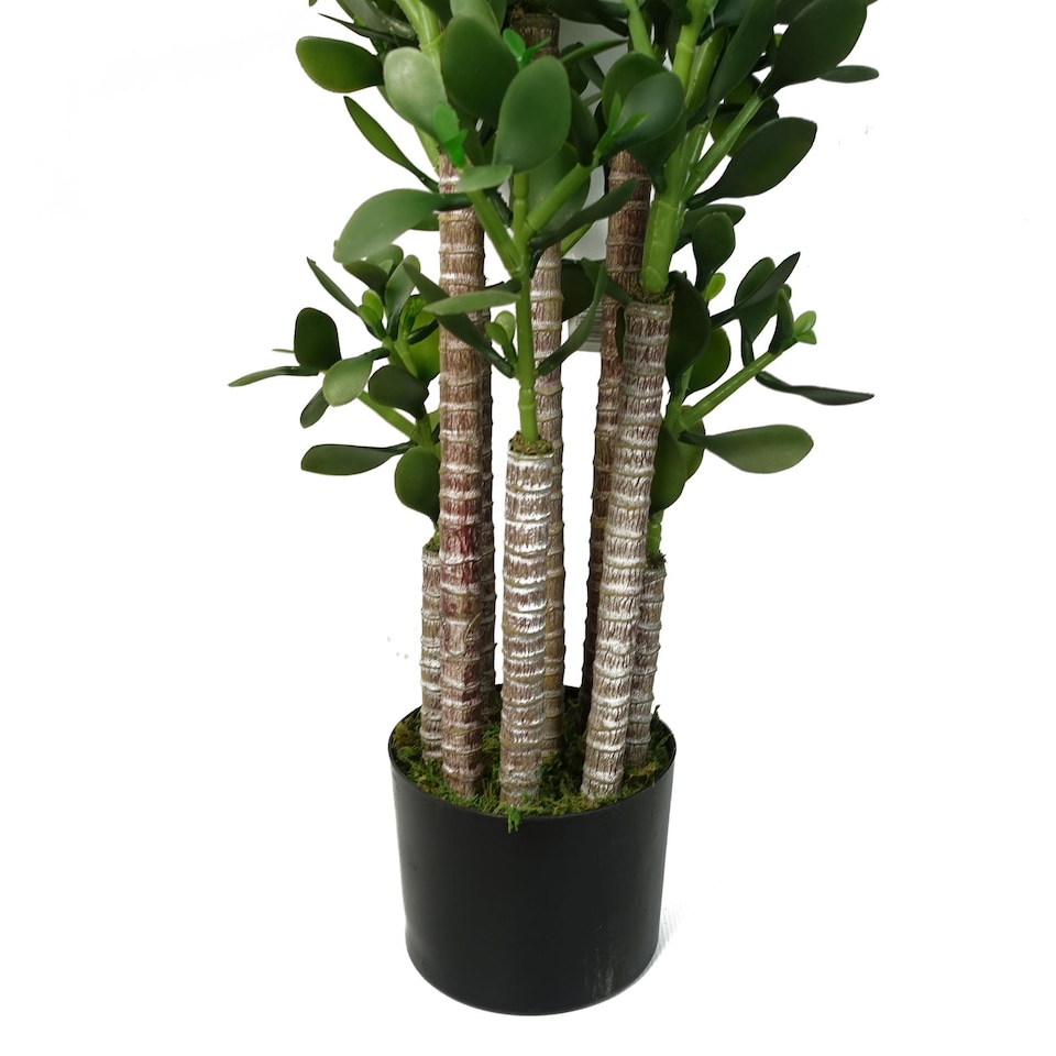 image 1 of Green Jade Plant 75cm Extra Large Realistic | Green | 2ft