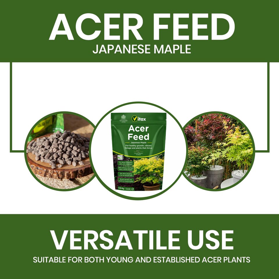image 1 of Vitax Acer Feed Japanese Maple Tree Organic Plant Feed Healthy Growth Vibrant Foliage 0.9kg Pack of 2