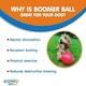 image 3 of Boomer Ball Virtually Indestructible Football 8" Assorted Colours