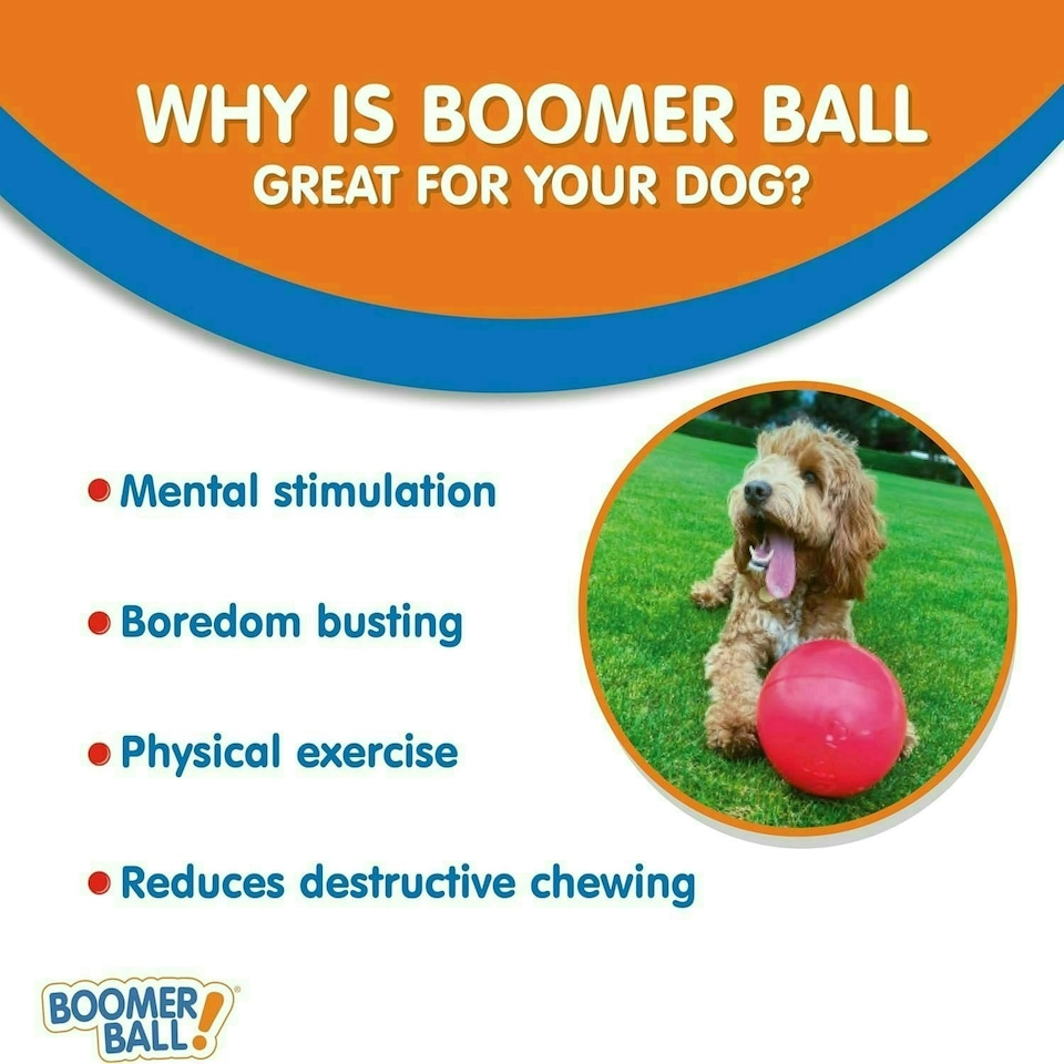 image 1 of Boomer Ball Virtually Indestructible Football 8" Assorted Colours