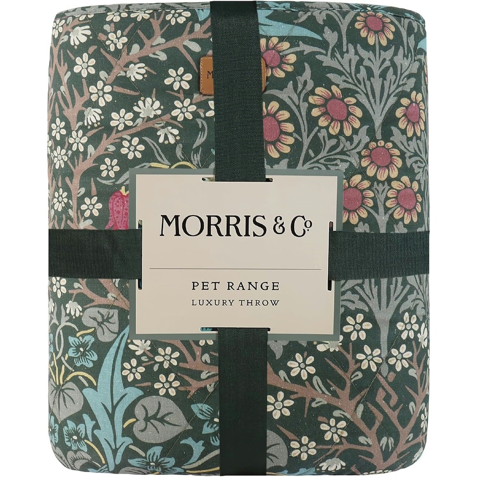 image 1 of Morris & Co Blackthorn Print Square Box Dog & Cat Blanket Green | One Size