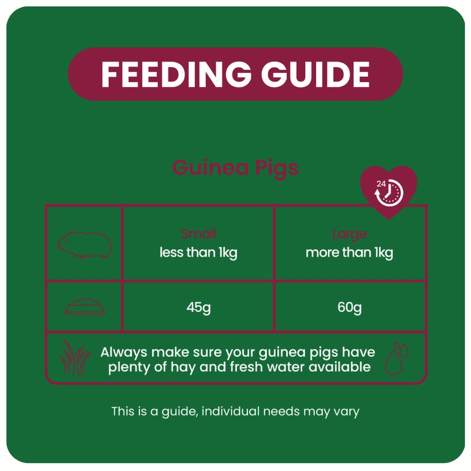 image 1 of Burgess Excel Indoor Guinea Pig - 1.5KG
