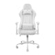 image 2 of Deltaco Gaming DC210 Gaming Chair - White