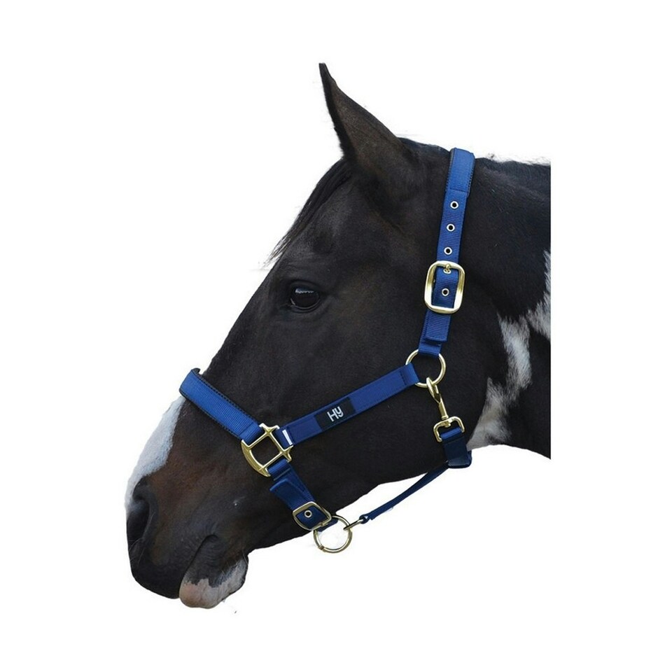 Hy Grand Prix Head Collar - Navy - Full