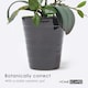 image 4 of Homescapes White Orchid 56 cm Phalaenopsis in Ceramic Pot