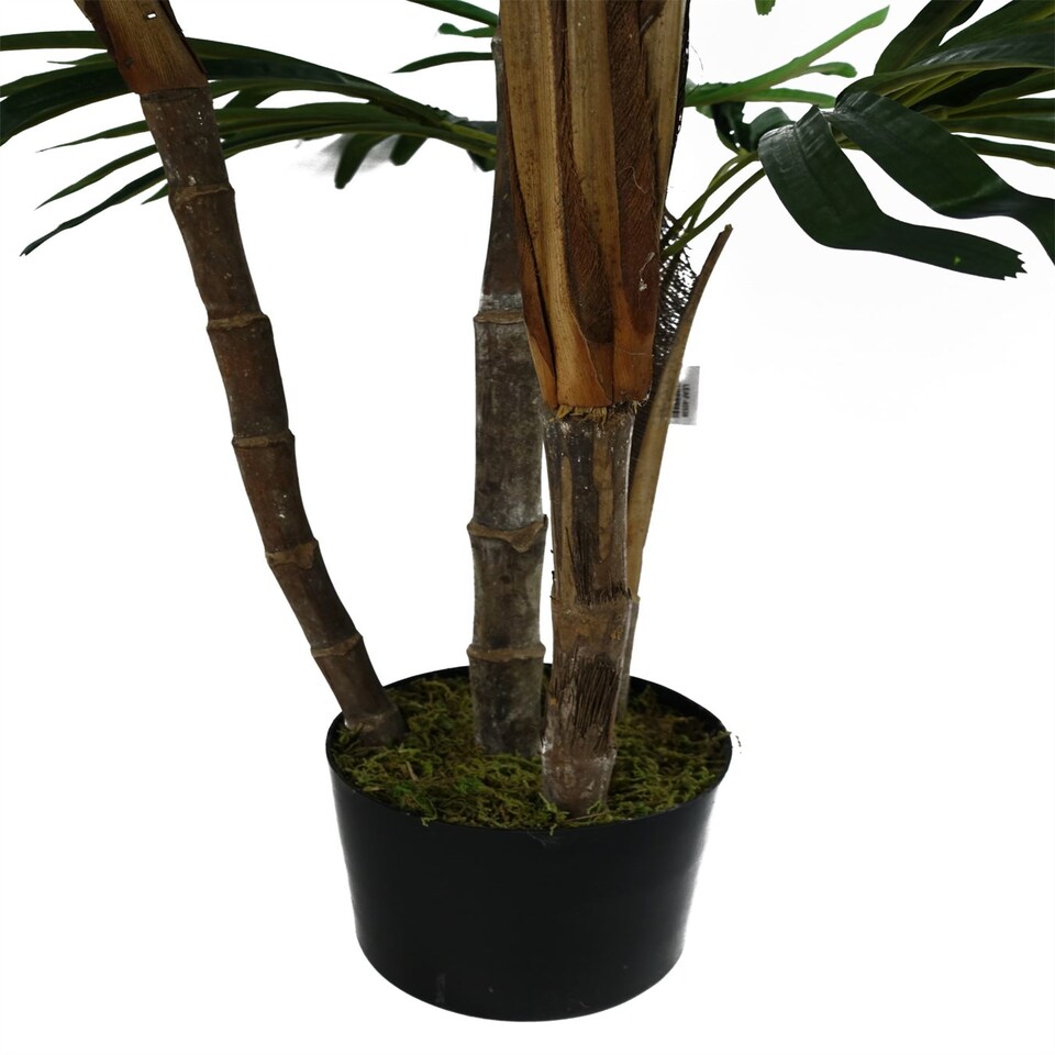 image 1 of Raphis Palm Artificial Tree 100cm - Realistic plant by Botanik | Green | 3ft