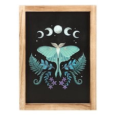 Something Different Wooden Luna Moth Framed Poster - Black/Purple/Green - One Size