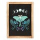 image 1 of Something Different Wooden Luna Moth Framed Poster - Black/Purple/Green - One Size