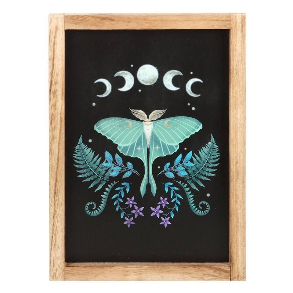image 1 of Something Different Wooden Luna Moth Framed Poster - Black/Purple/Green - One Size