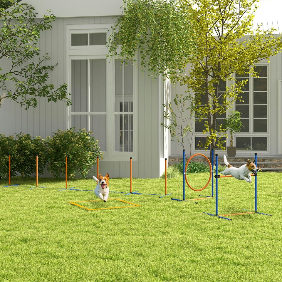 image 1 of PawHut 8 Piece Dog Agility Equipment Set, Outdoor Agility Kit for Pet, Orange