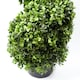 image 2 of 120cm Sprial Buxus Artificial Tree UV Resistant Outdoor