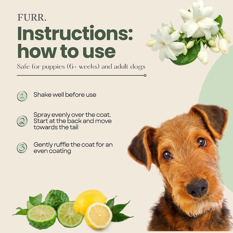 image 1 of FURR Bobs Cologne for Male Dogs 250ml  with Aloe Vera, Vitamin E & Hyaluronic Acid