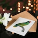 image 4 of Francois Levaillant Art Card Red And Blue Amazon Parrot