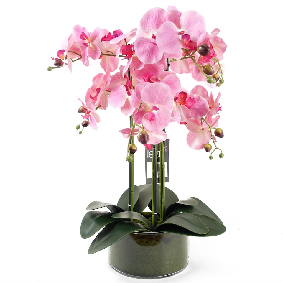 image 1 of Artificial Orchid with Glass Planter Pink Botanik