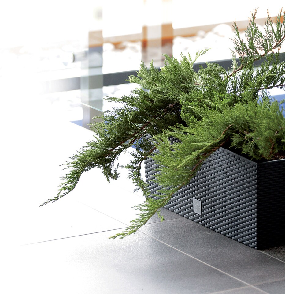 image 1 of 60 cm Rato Case Rattan Flower Planter | Black | 1