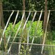 image 8 of Marco Paul Reflective Bird Repellent Tape 40M