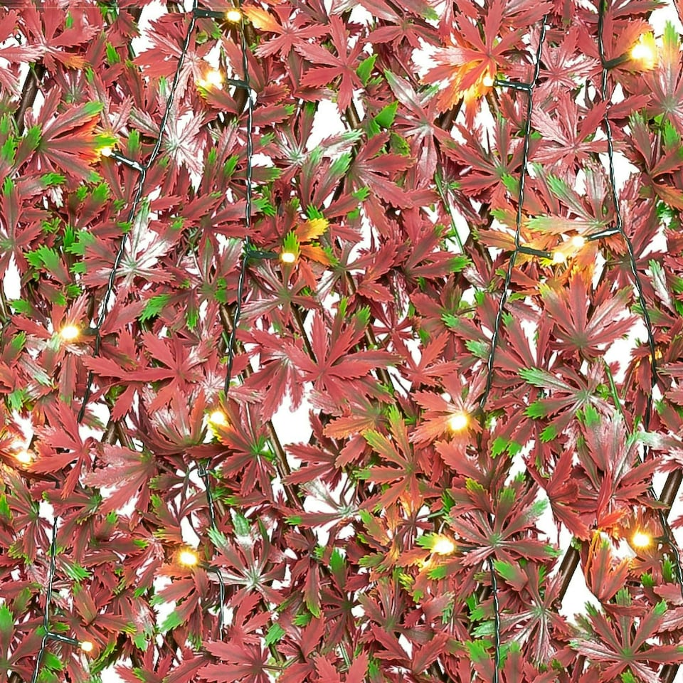 image 1 of Primrose Extendable Artificial Red Acer Screening Trellis with LEDs W2m x H1m