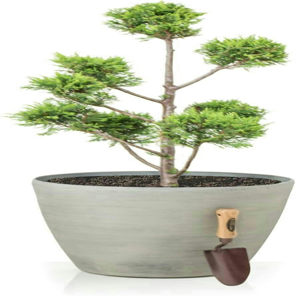 image 1 of Primrose Cone Planter Frost Resistant & Lightweight Cortina Stone 41cm x 43cm