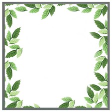 Green border (Picture Frame) Grey | XL