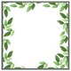 image 1 of Green border (Picture Frame) Grey | XL