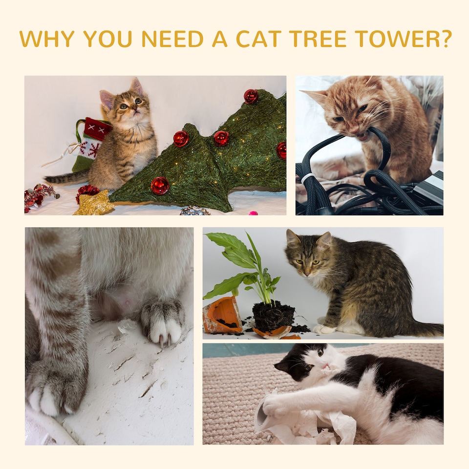 image 1 of PawHut Kitten Tower Adjustable 240-260cm, Scratch Posts, Houses