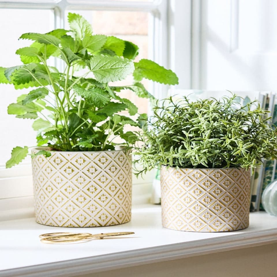 image 1 of Corona Diamond Patterned Planters White