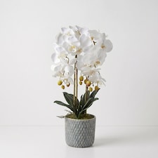 Homescapes Artificial White Orchid in Blue Ceramic Pot