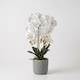 image 1 of Homescapes Artificial White Orchid in Blue Ceramic Pot
