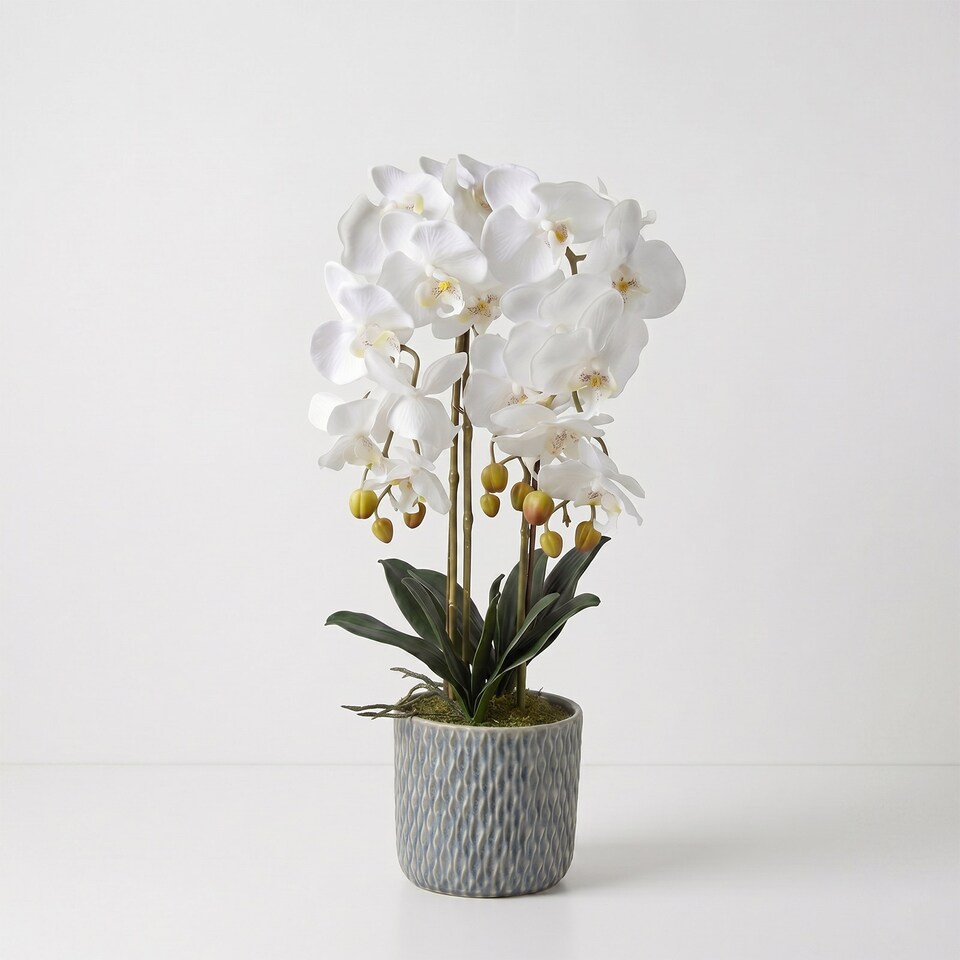 image 1 of Homescapes Artificial White Orchid in Blue Ceramic Pot