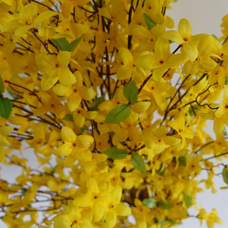 image 1 of 150cm Artificial Forsythia Tree