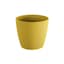 Yellow & Set of 1