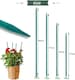 image 4 of Garden Stakes 45cm 50 Pack Bamboo Sticks Plant Support Green Wooden Canes Gardening