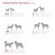 image 2 of Dog H-Harness Design Desert Paws Red Red | S
