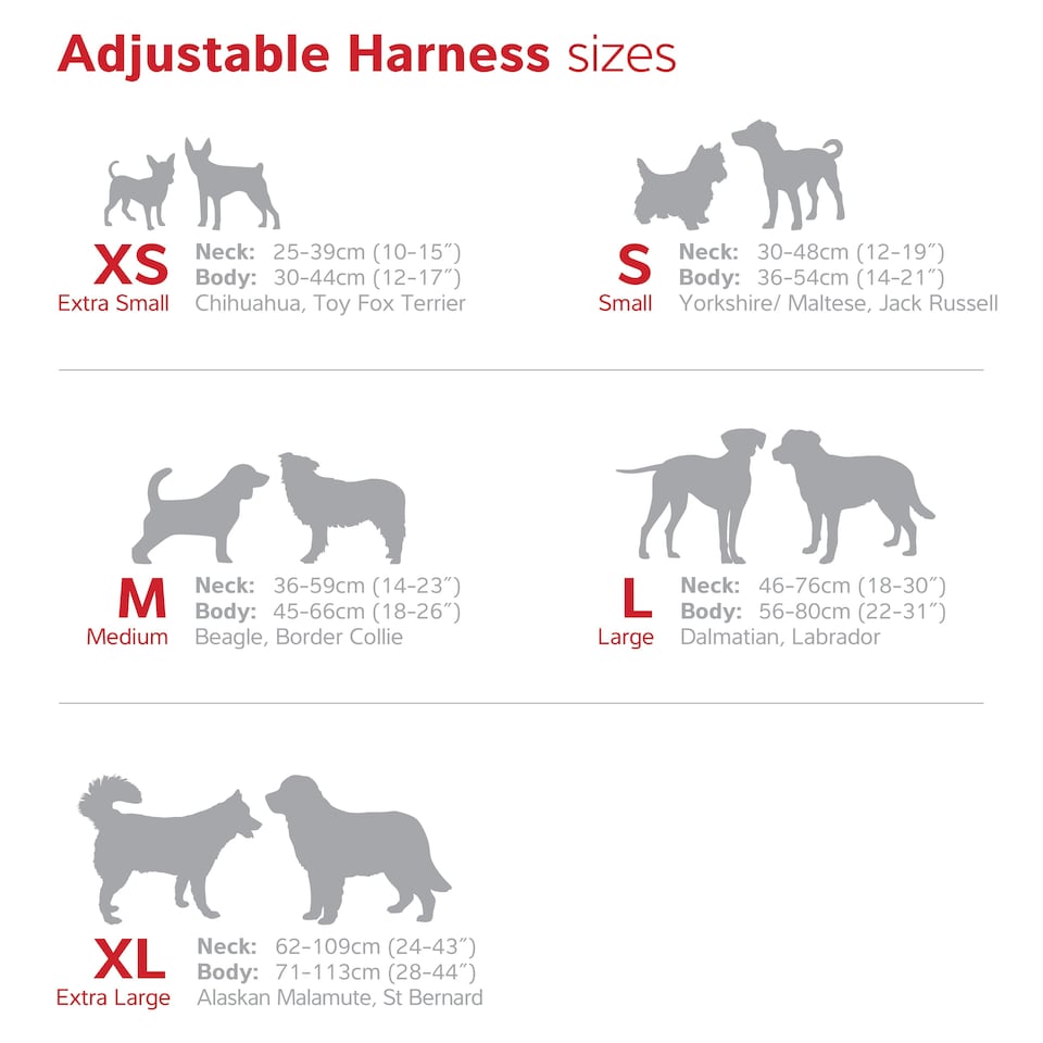 image 1 of Dog H-Harness Design Desert Paws Red Red | S