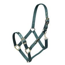 ARMA Adjustable Horse Headcollar - Green - X Full