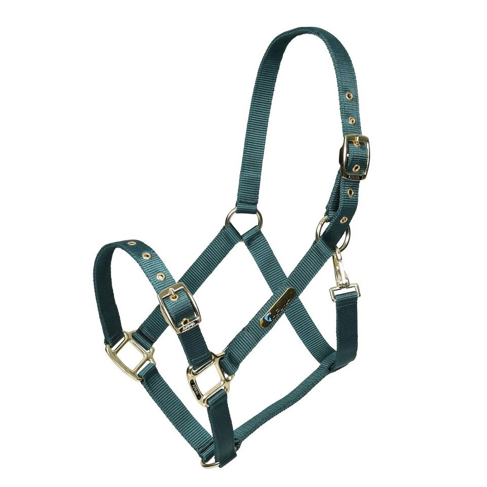 ARMA Adjustable Horse Headcollar - Green - X Full
