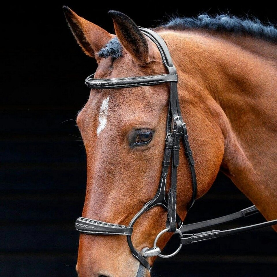 Salisbury Brampton Horse Bridle - Black - X Full