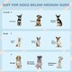 image 7 of PawHut Weather-Resistant Dog House, Puppy Shelter for Medium Dogs - Grey