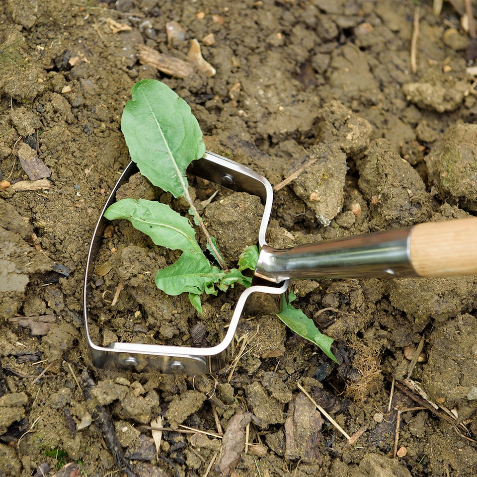 image 1 of Kent & Stowe Stainless Steel Oscillating Hoe