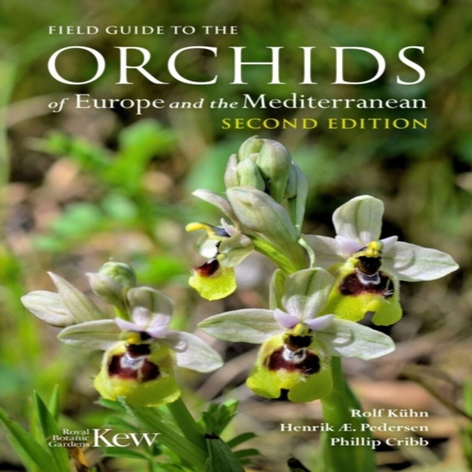 Field Guide/orchids Europe & Mediterrane