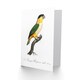 image 2 of Francois Levaillant Art Card The Black Headed Parrot