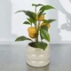 image 3 of Artificial Citrus Lemon Fruit Tree Flower Pot | Cream | Cream gloss | 1